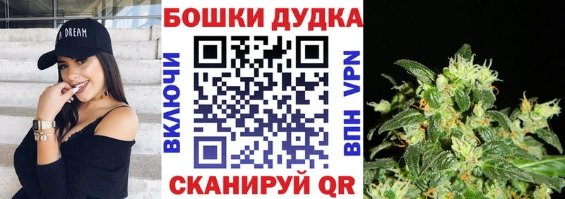 Канабис Bruce Banner  Купить где  Прохладный 